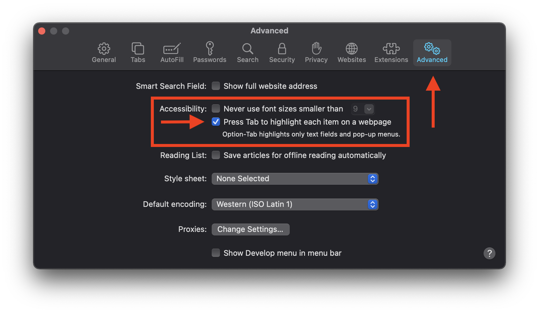 Safari General Preferences with Accessibility option for Tab highlighting enabled as described