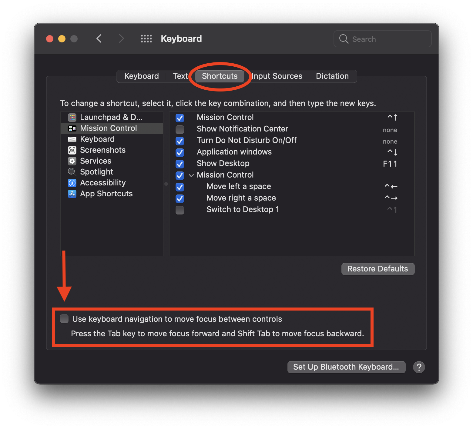 Newer Mac operating system keyboard preferences with keyboard navigation option identified as described