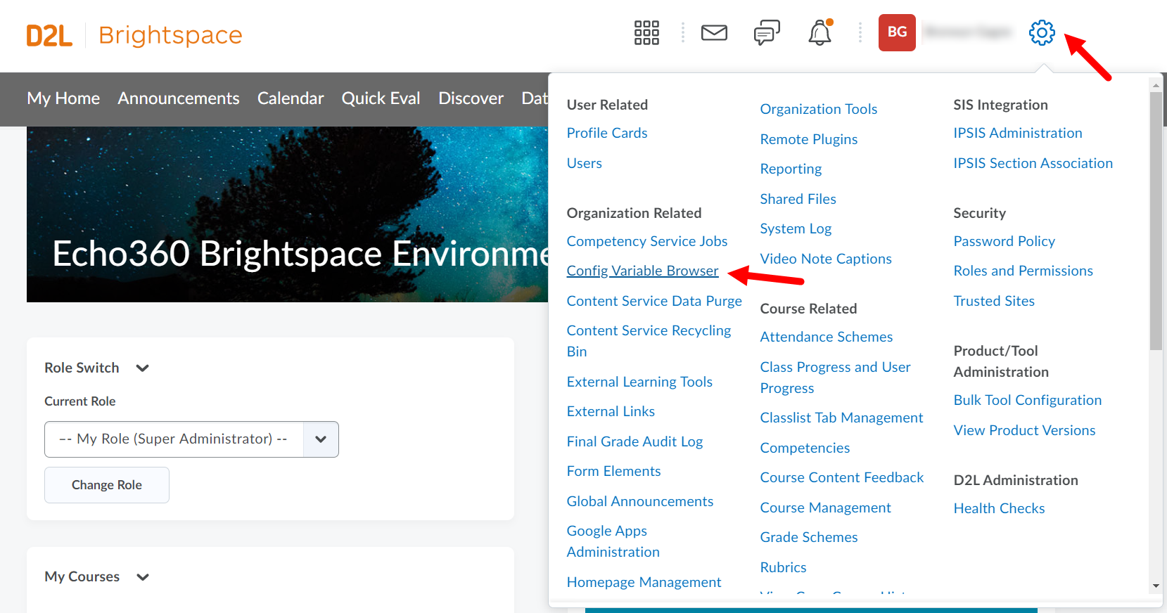 Brightspace Admin options with Config Variable Browser option shown