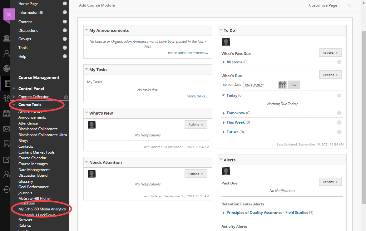 Blackboard course with Learn view showing Course Tools list open in left navigation and EchoVideo media analytics tool identified as described