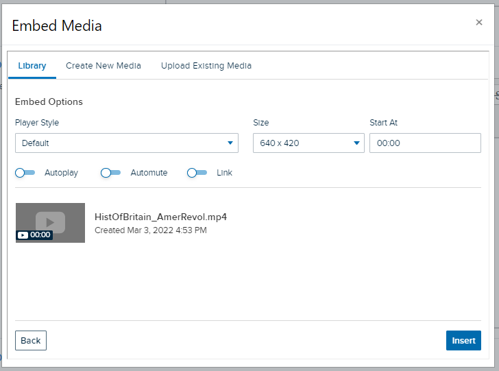 Uploaded media file selected for embedding with playback options shown for configuration as described