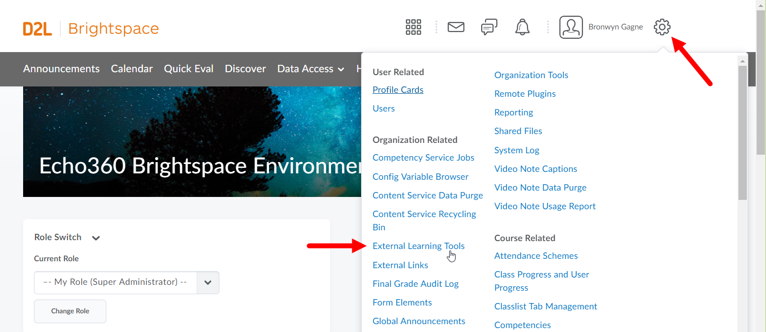 Brightspace Admin settings options with External tool link identified as described
