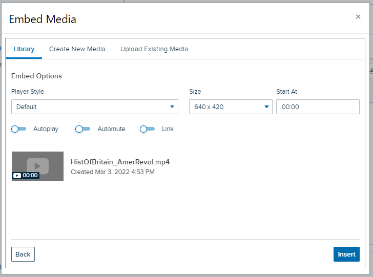 Embed media dialog box with media selected and playback options shown for configuration as described