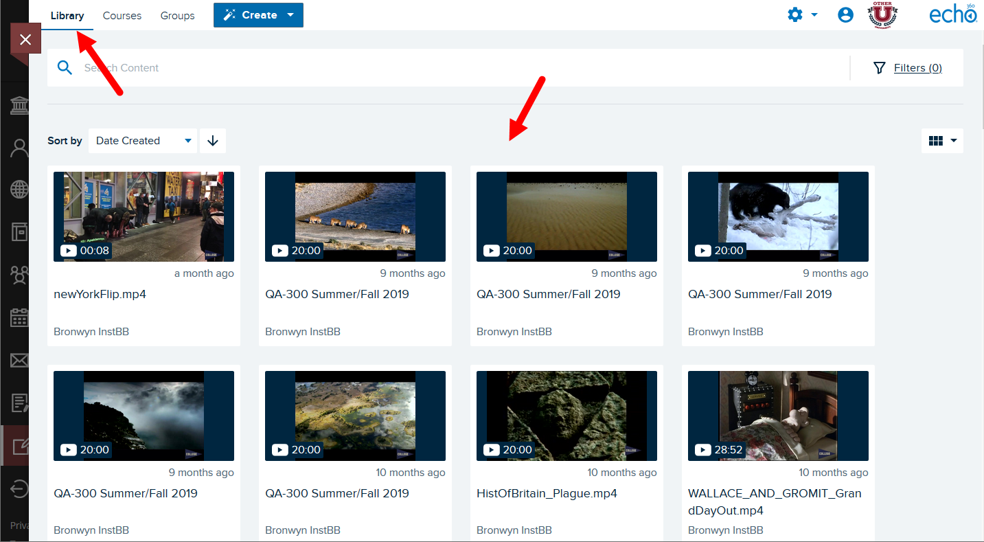 EchoVideo media library open in the Blackboard main page frame as described