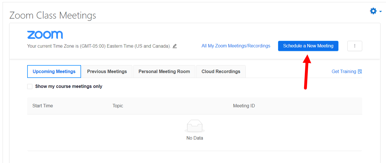 Zoom course meeting page with Schedule a New Meeting button identified for steps as described
