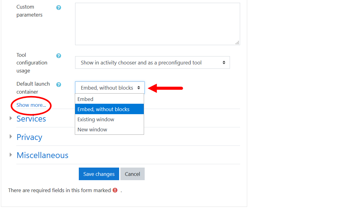 Tool configuration default launch container field showing embed option selected for steps as described