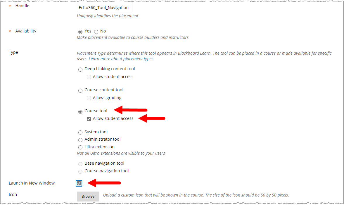 Blackboard Placement form with fields as described