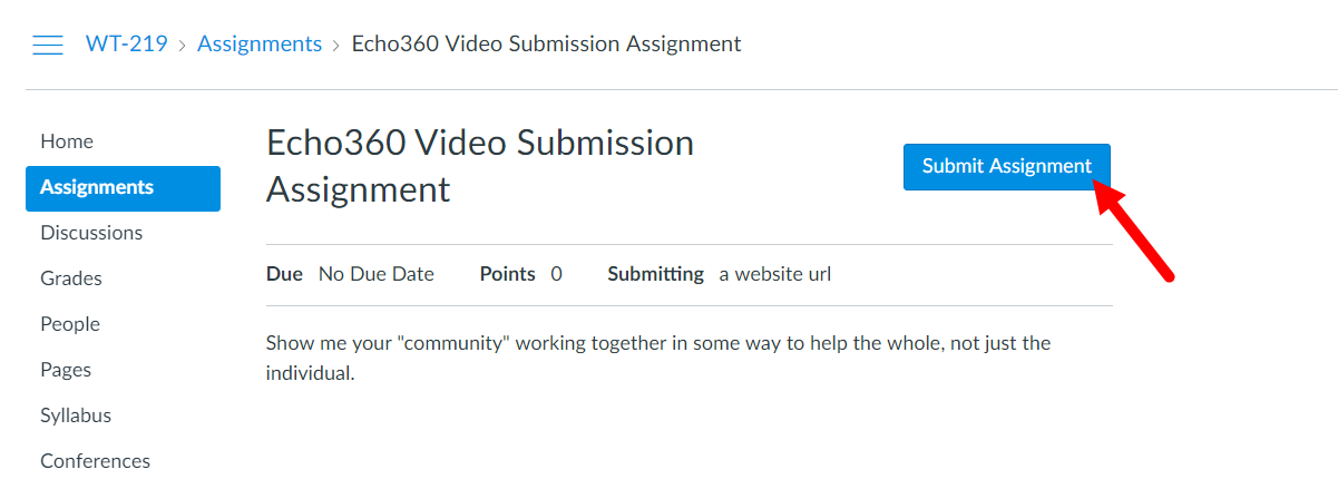Student view of Echo360 video assignment with Submit Assignment button identified as described