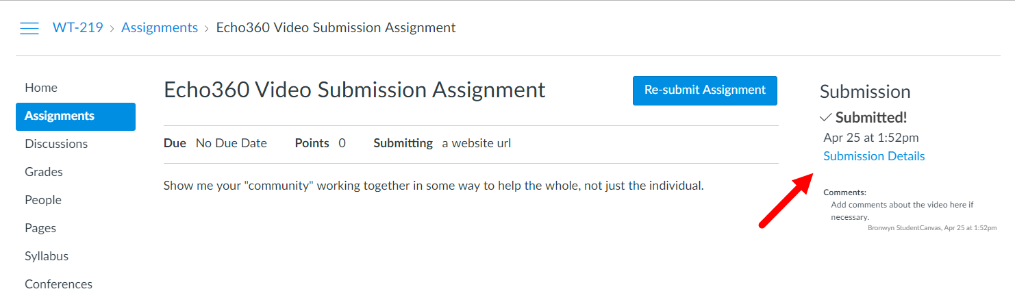 Student view of submitted assignment with submission details link as described