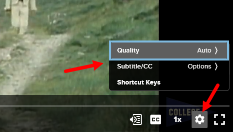 Embedded Media in the New Player showing setting with playback options