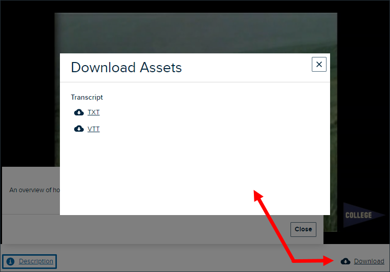 Embedded Media in the New Player showing download options