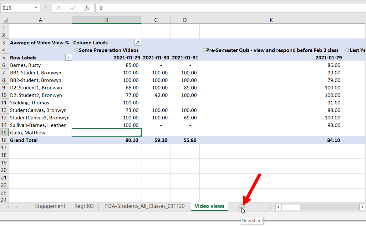 Excel file with New Sheet button identified as described