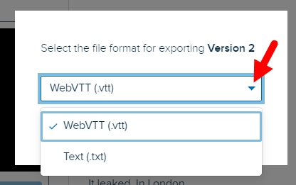 Export format popup box with options as described