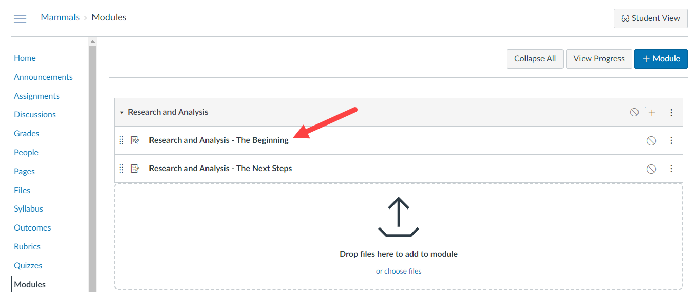 Canvas course with Module and two Item links shown for mapping to Echo360 classes as described