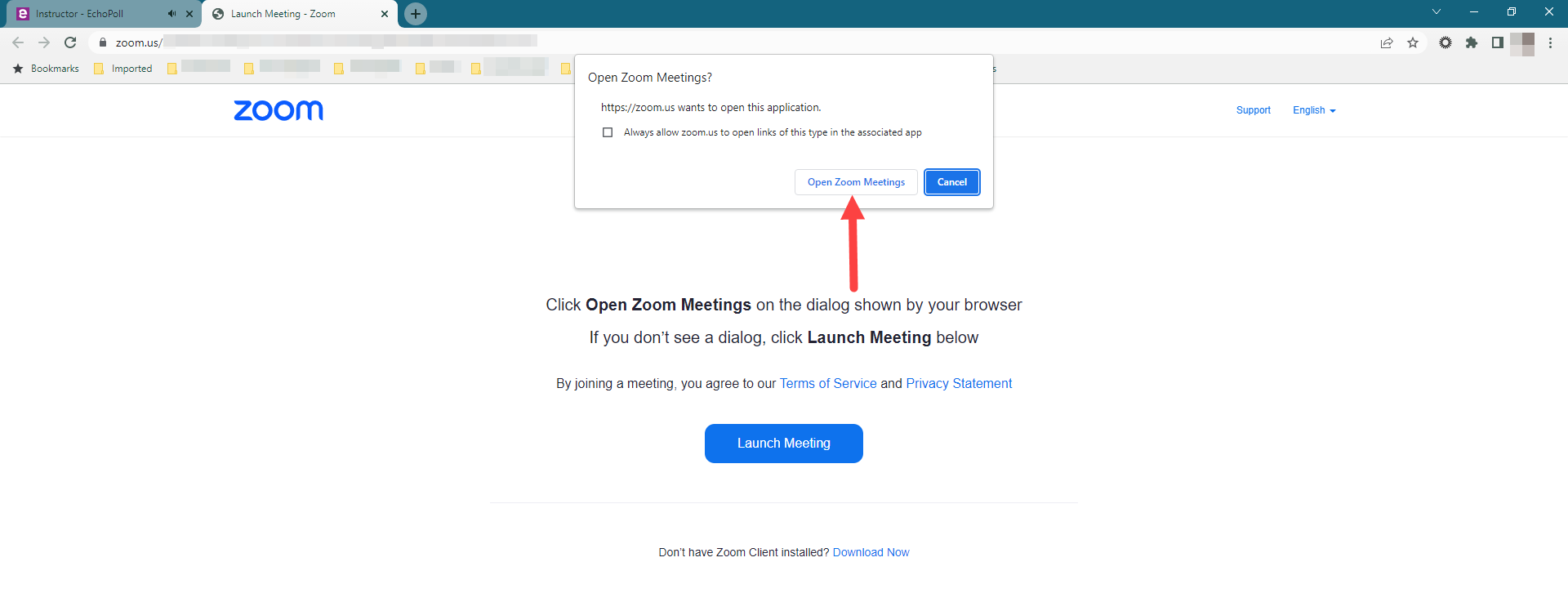 Open Zoom Meeting screen with Open Zoom Meetings button identified as described