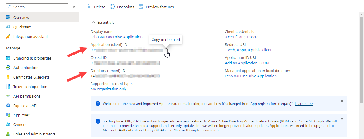 Azure Overview with Application client ID and Directory tenant ID identified as described