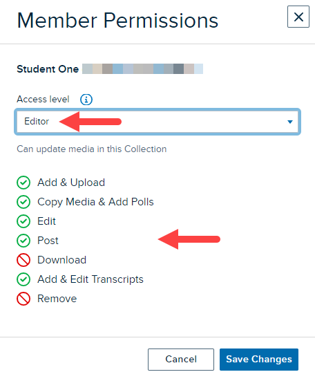 Member permissions modal with Editor access level selected and permissions conferred and prohibited with editor access shown as described
