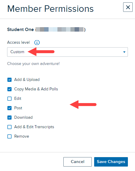 Member permissions modal with Custom access level selected and permission selection options shown as described