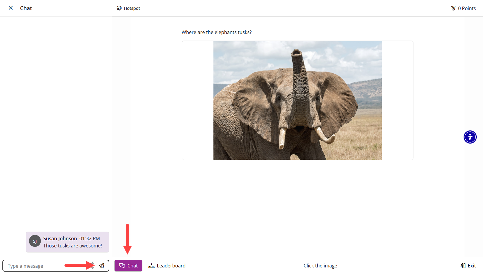 Chat options identified as described