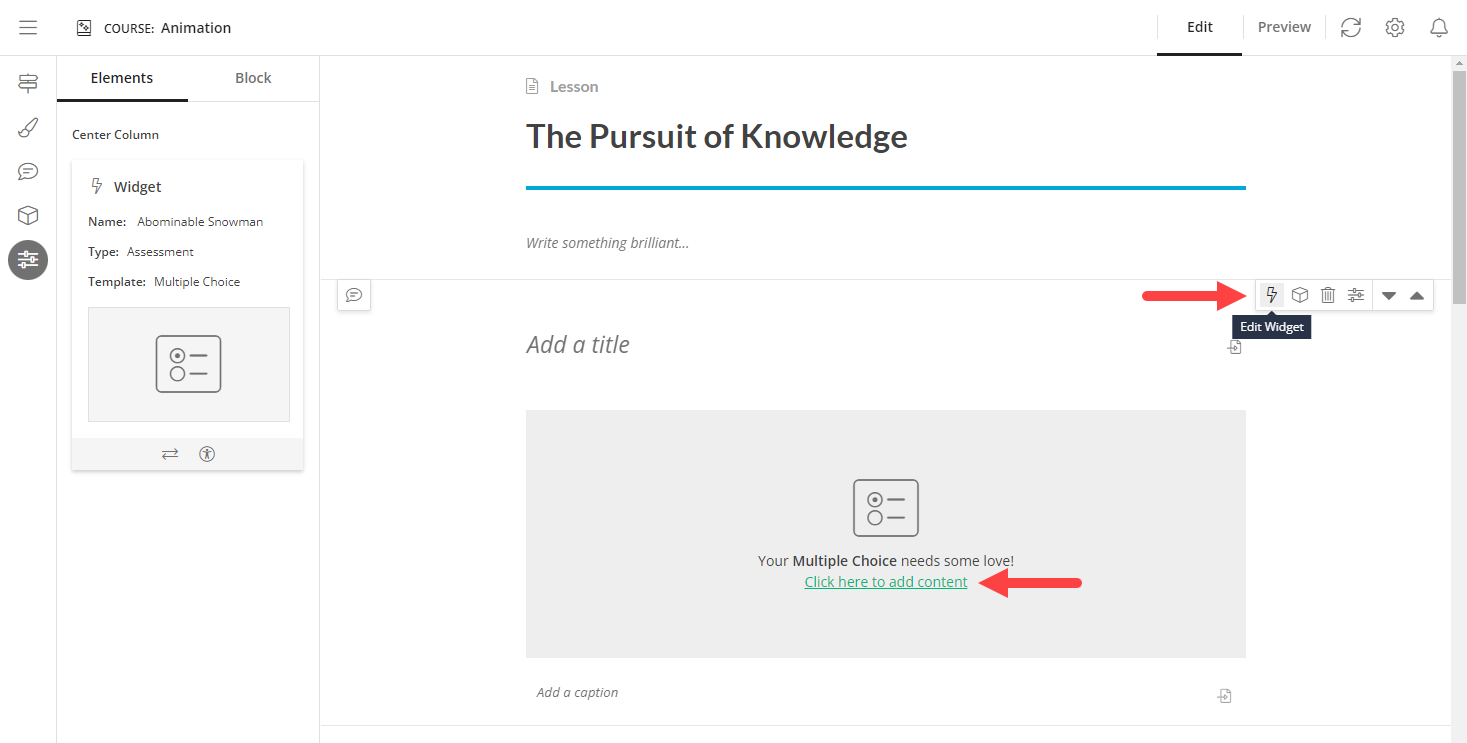 Edit Widget link and button identified as described