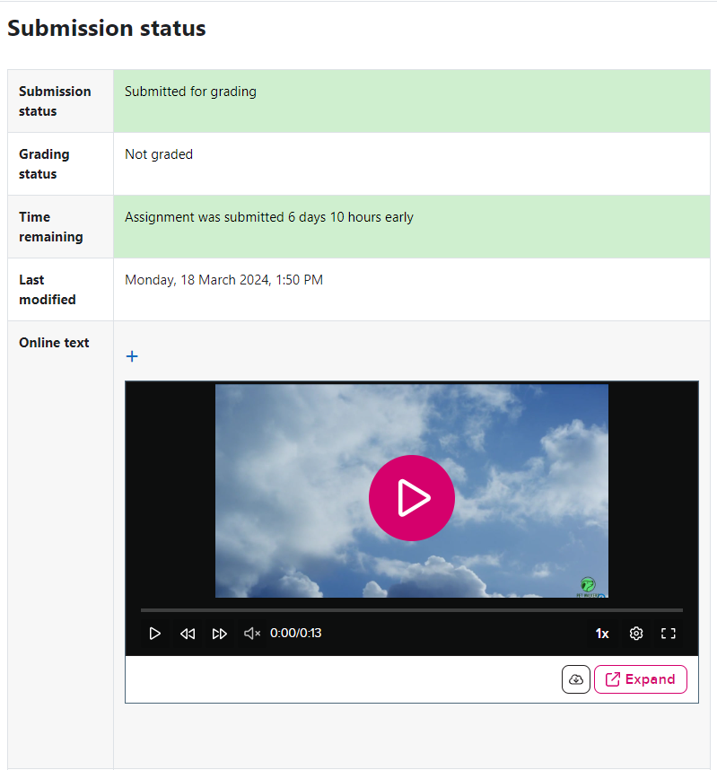 Student assignment submission with Echo360 embedded video showing for review as described