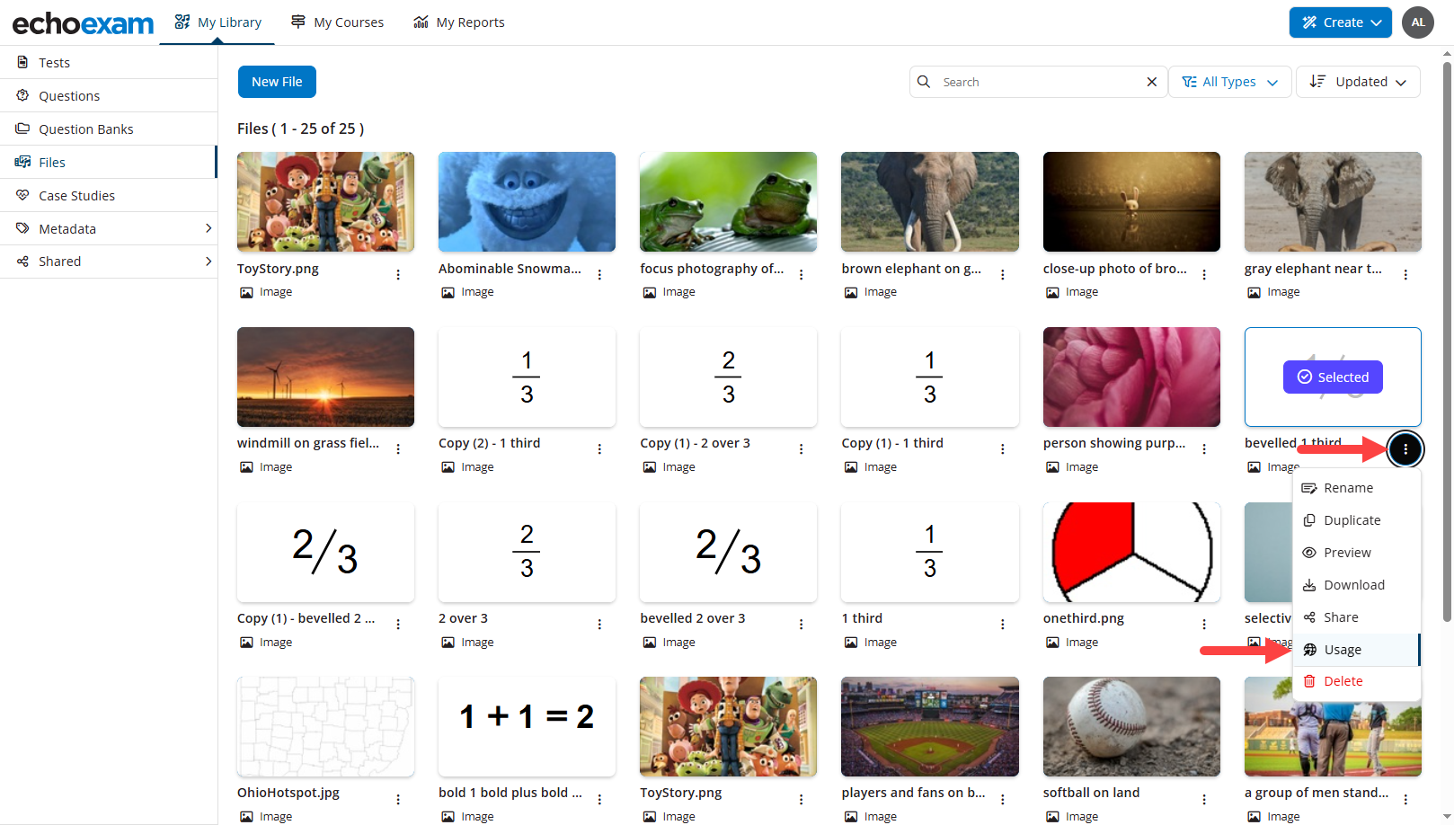 The vertical action menu of a file opened and Usage selected as identified