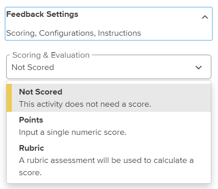 new instructor rubric.png