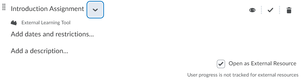brightspace_new_window_checkbox.png