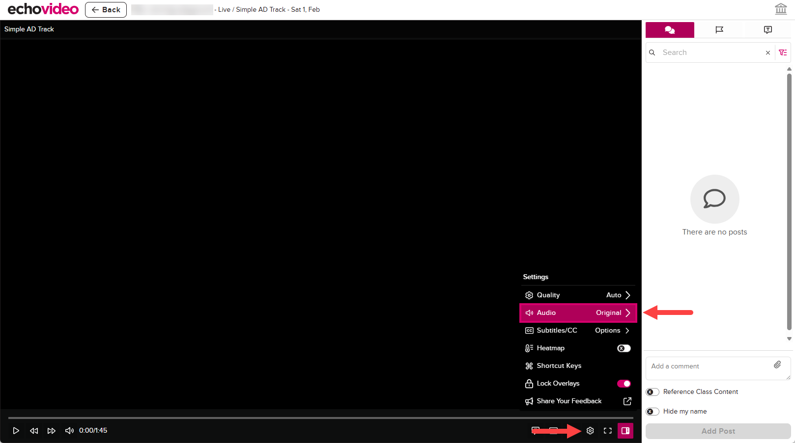 Player with the Settings icon and Audio option identified in the menu 