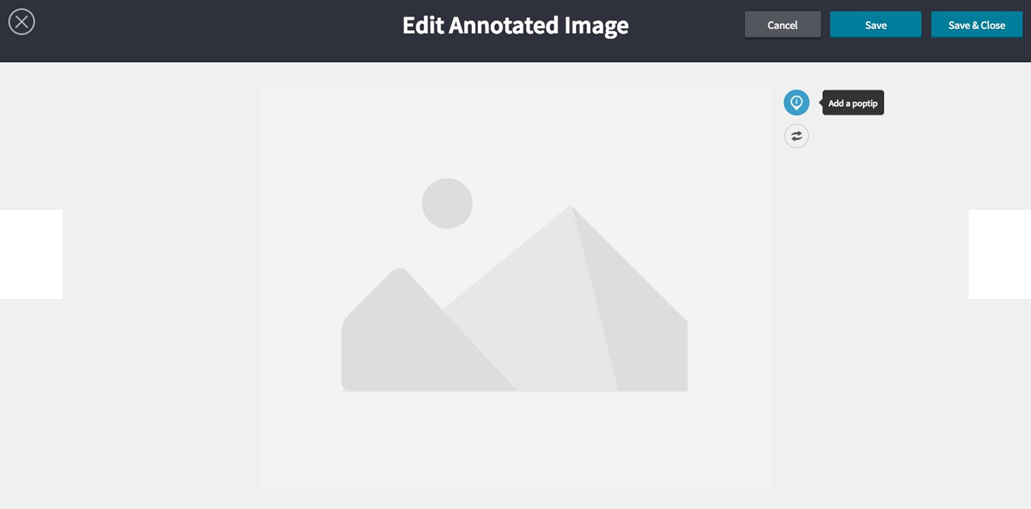 Edit Annotated Image