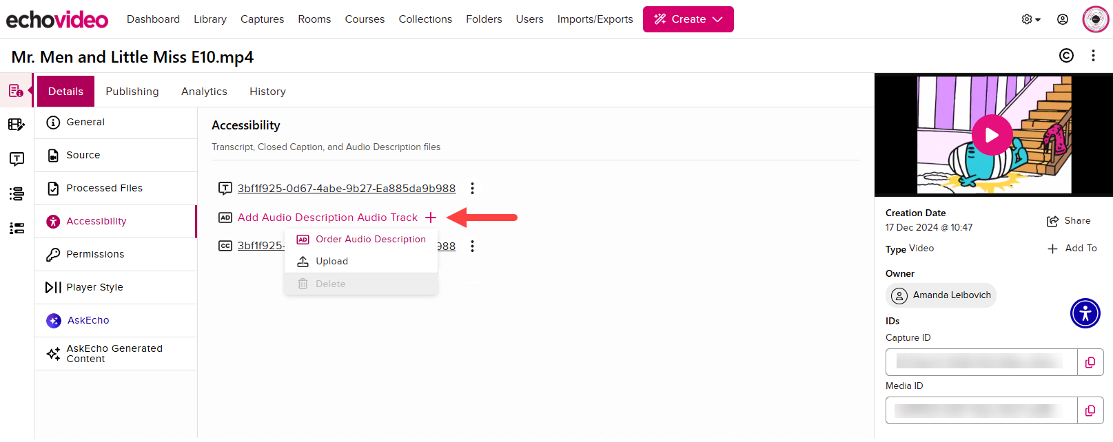 Media Details Page open to the Accessibility section of Details with Add Audio Description Audio Track identified as described