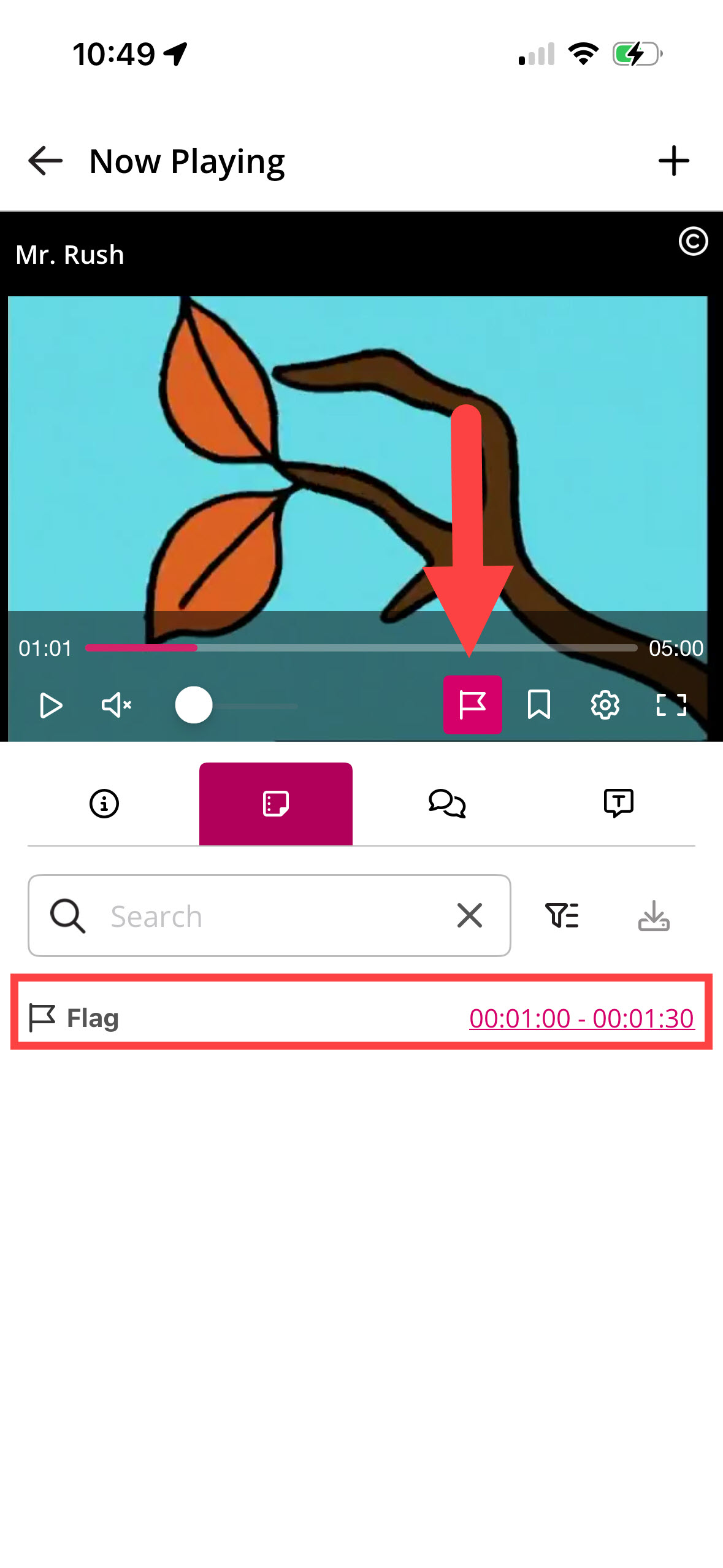Notes tab showing the Add Confusion Flag icon and a Flag that has been added identified as described