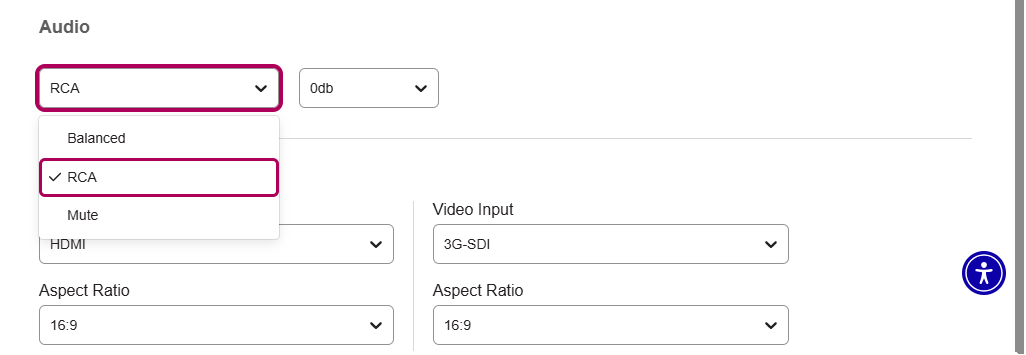 audio section of device input configuration page with options as described